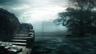 Stone wall tree stairway water - a stairway free wallpaper