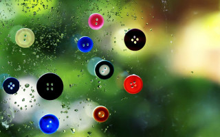 Window buttons rain drops trees - button free wallpaper