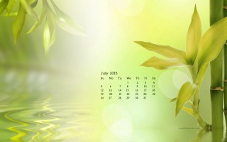 Calendar bamboo plant water green - anne dunn free wallpaper