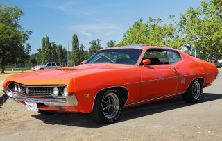 Bright orange muscle car parking 2 - the background and trees free wallpaper