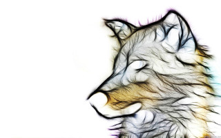 Wolf artistic photo white black - caspar wolf free wallpaper