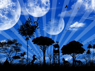 Man ladder field trees moon - full moon free wallpaper