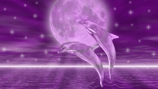 Dolphins swimming full moon stars - evelyn de morgan free wallpaper