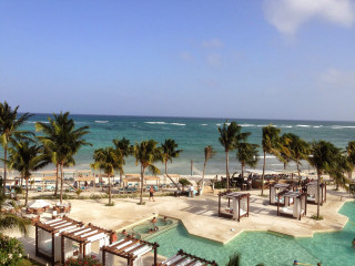 Beach pool palm trees people - anne rigney free wallpaper
