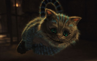 Green eyed blue tailed cat - a blue tail free wallpaper