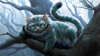 Cat green eyes tree branch - a tree branch in a forest free wallpaper