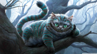 Creepy cat green eyes forest - a tree branch in a forest free wallpaper