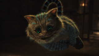 Cat blue eyes scarf black - its back free wallpaper