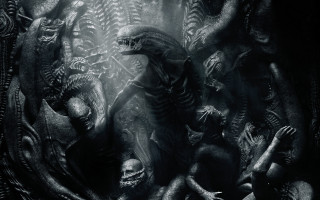 Black white aliens forest trees - a forest of trees free wallpaper