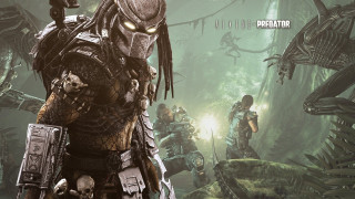 Predator forest alien creatures background - poster art free wallpaper for desktop