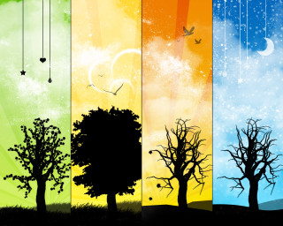 Trees birds sky stars banners - vertical free wallpaper