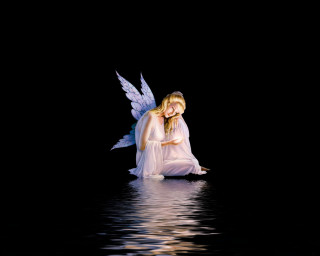 Fairy sitting water wings spread - the water free wallpaper
