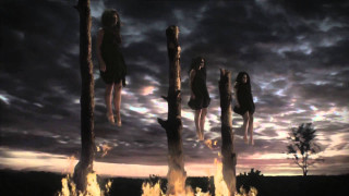 Group people fire pit field - video art free wallpaper for desktop