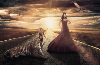 Woman red dress tiger road - a tiger free wallpaper