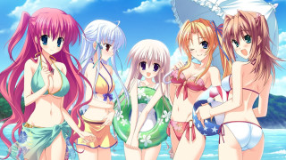 Beach girls bikinis bathing suits - a group of girls free wallpaper