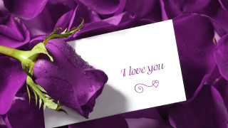 Purple rose love note card - a purple rose free wallpaper