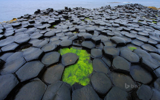 Large rock formation green algae - green alga free wallpaper