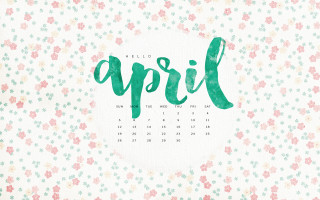 April floral background cherry blossom - a calendar free wallpaper