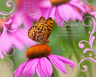Butterfly flower quote sitting beautiful - a quote below free wallpaper