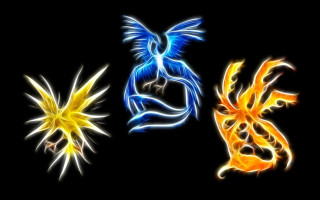 Bird wings black background firework - wing free wallpaper for desktop