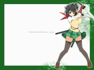 Girl sword green background white - a green border free wallpaper