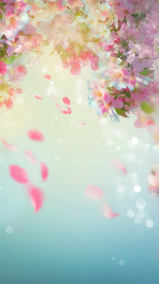 Pink flowers floating bubbles water - a blue sky background free wallpaper
