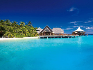 Beach resort pier hut ocean - palm tree free wallpaper