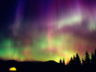 Aurora borealis green purple tent - aurora free wallpaper