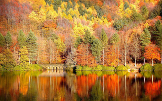 Lake autumn trees bridge reflection 2 - the side of it free wallpaper