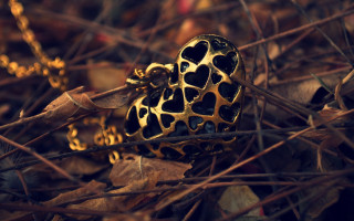 Heart shaped object leaves twigs - object free wallpaper