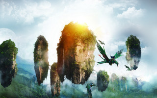 Bird flying mountain range forest - over a mountain range free wallpaper