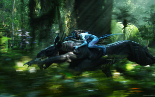Woman riding large animal forest - a woman riding free wallpaper