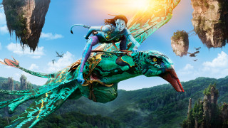 Woman riding green bird forest - weta digital free wallpaper