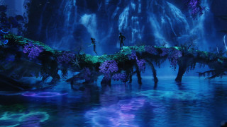 Avatar man woman bridge water - afrofuturism free wallpaper