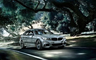 Silver car forest road sunny 2 - a silver car free wallpaper