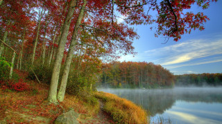 Lake autumn red leaves blue - asher brown durand free wallpaper