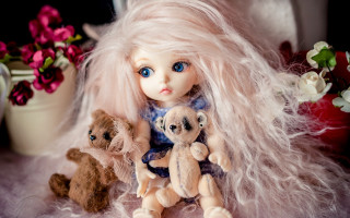 Doll longhair teddybears furflowers gilmour - david gilmour blythe free wallpaper
