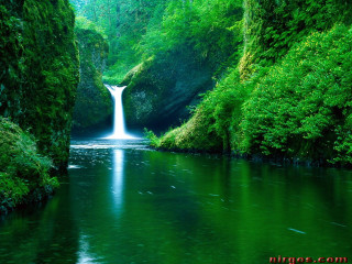 Waterfall green forest stream nature 2 - free nature wallpaper