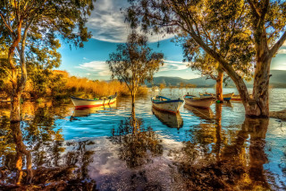 Boats lake forest trees leaves - a group of boats free wallpaper
