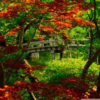 Bridge river trees autumn impressionism - choi buk free wallpaper