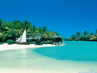 Sailboat water beach palm trees - tropical free wallpaper