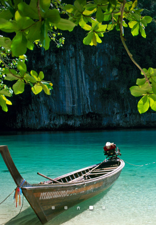 Boat beach water tree branch - beautiful scenery free wallpaper