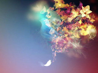 Colorful flower crescent moon computer - bird free wallpaper