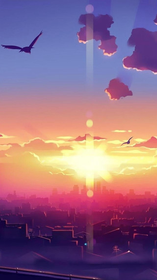Sunset plane bird city flying - sunrise free wallpaper