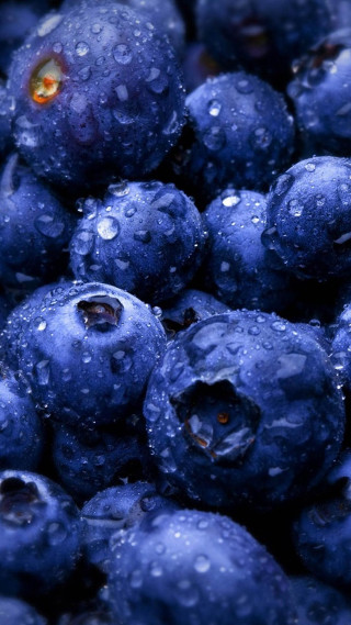 Blueberries waterdroplets yelloweye macro bubble - water droplet free wallpaper