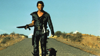 Man leathers skateboard dog side - a skateboard free wallpaper
