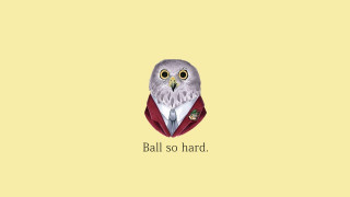 Bird red jacket tie head - a red jacket free wallpaper
