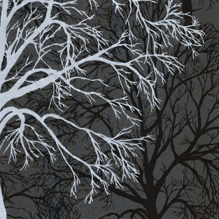 Leafless tree bird perched background - free winter wallpaper