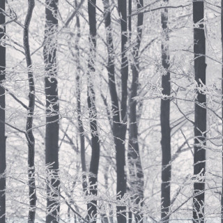 Black white forest snow branches - generative art free wallpaper