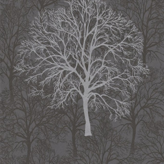 Leafless tree forest gray background - gray background free wallpaper